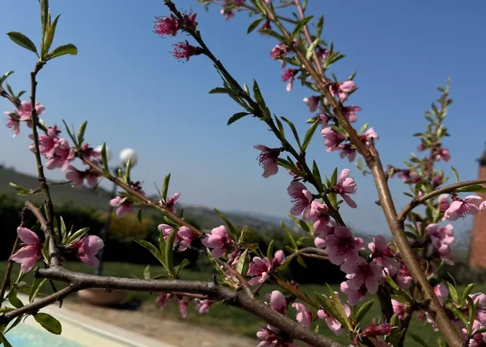 Alloggio per agriturismo Ca D'linet *